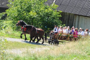 Wrzosowisko 2011